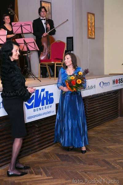 Výstava v Říčanech 2012