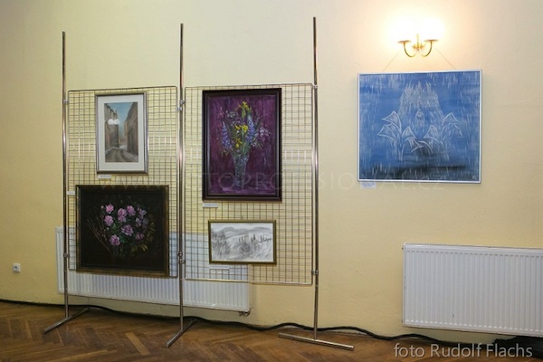Výstava v Říčanech 2012