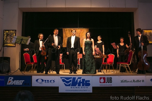 Výstava v Říčanech 2012