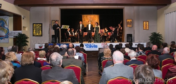 Výstava v Říčanech 2012